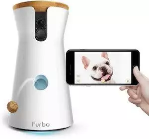 best security camera for dogs
