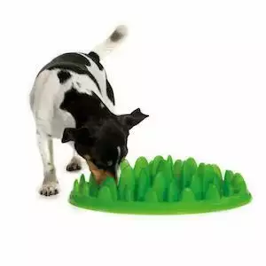 The Company Of Animals Green Interactive Dog Feeder