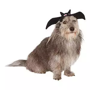 Halloween Devil Horns and Tail