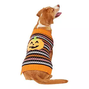 Pets at Home Halloween Starry Eyed Pumpkin Dog Jumper