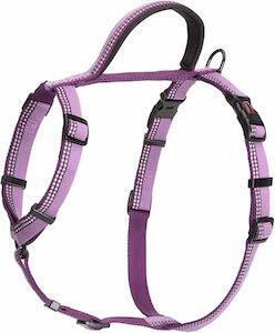 Halti Walking Harness