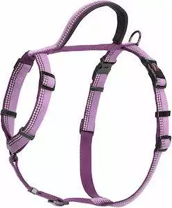 Halti Black Dog Walking Harness