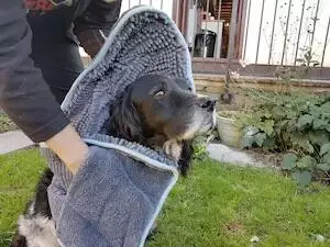 Henry Wag Microfibre Cleaning Glove