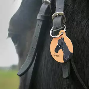 Horse Bridle Tag Personalised