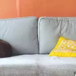 How To Keep Your Dog Calm During Fireworks