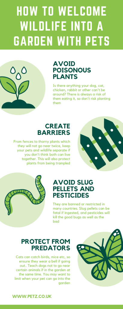 How To Welcome Wildlife Into A Garden With Pets