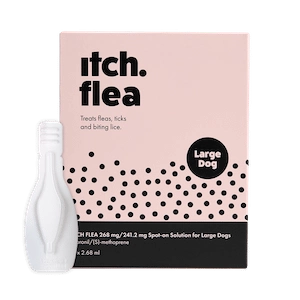 itch Flea Treatment
