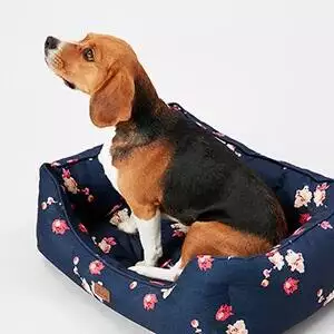 Joules Floral Square Dog Bed
