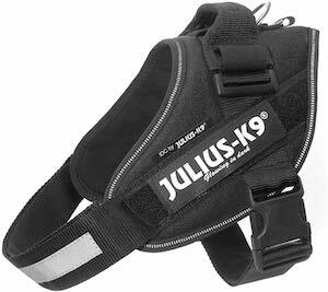 Julius K9 16IDC P 0 IDC Powerharness