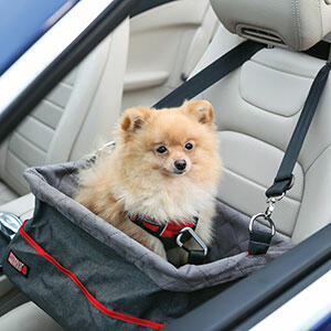 KONG-Secure-Dog-Car-Booster-Seat-with-Built-In-Tether