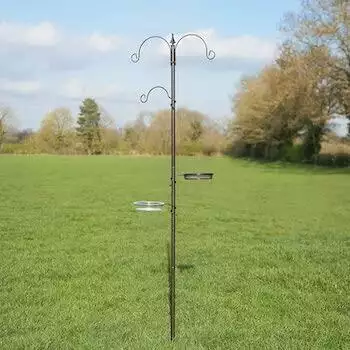 Kingfisher Bird Feeding Station