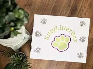 Kitty Litter Box