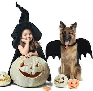 Bat Dog Costume