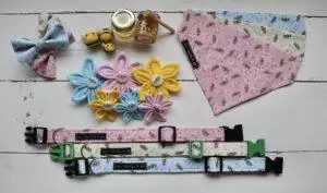 Small Business Spotlight: Leo, Charley & Me