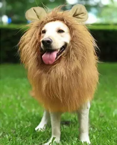  Lion Mane Fancy Dress