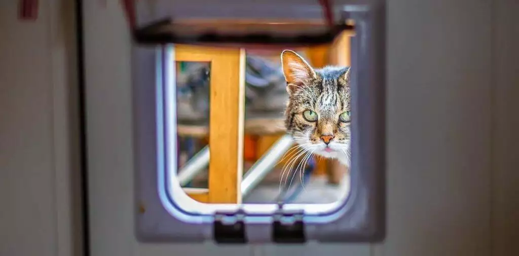 Microchip Cat Flap Pet Tech