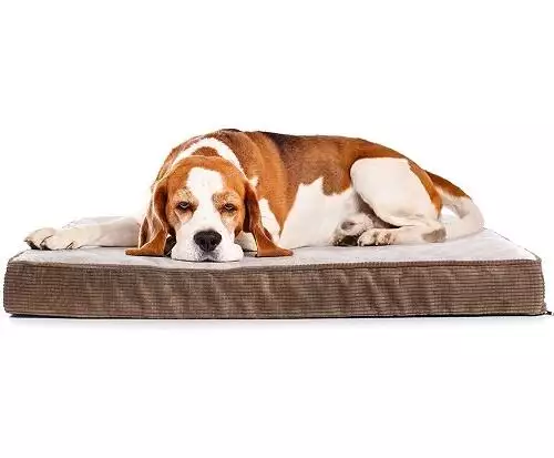 Milliard Quilted Padded Orthopedic Dog Bed