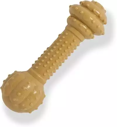 Nylabone Dura Chew