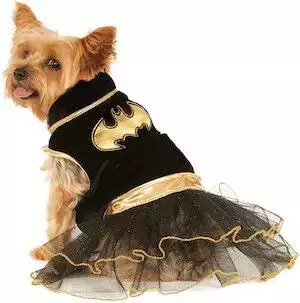 DC Comics Batgirl Pet Dog Costume
