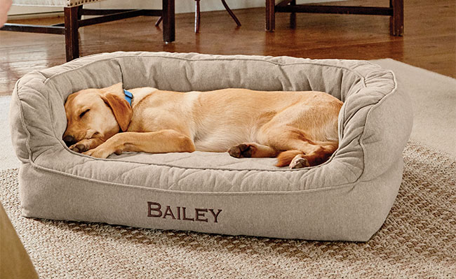 Orvis-Couch-Dog-Bed
