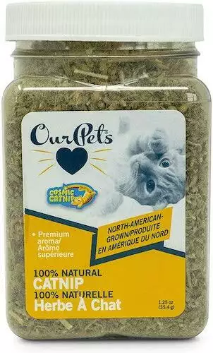 Our Pets Catnip Jar Cat Herb