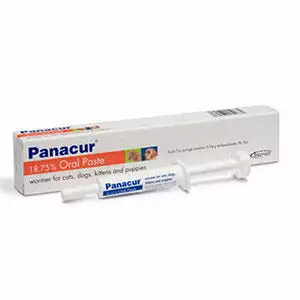 Panacur Paste for Dogs
