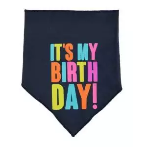 Party Dog Birthday Bandana