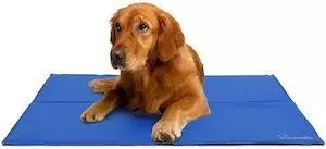best dog cooling mat