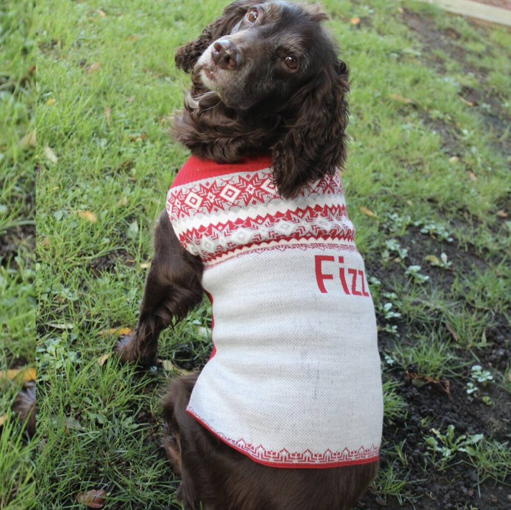Personalised-Knitted-Christmas-Dog-Jumper