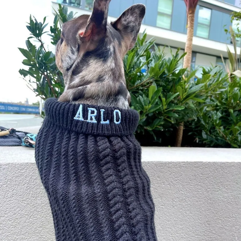 Personalised Knitted Dog Jumper