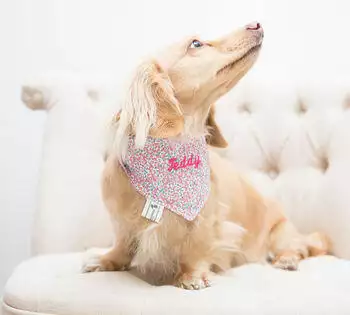 TEDDY MAXIMUS Personalised Pink Liberty Print Neckerchief 