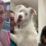 Best Pet Lockdown Videos of The Month: April
