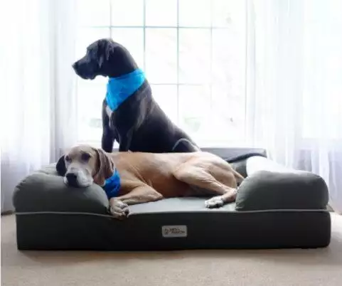  Pet Fusion Ultimate Jumbo Bed