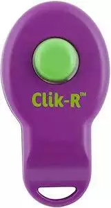 PetSafe Clik-R Training Tool