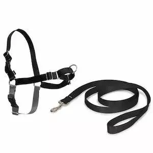 PetSafe® Easy Walk® Harness