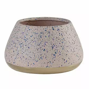 Ceramic Dog Bowl for Long Ears 