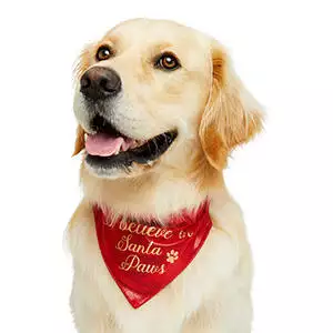 Pets at Home Christmas Santa Paws Dog Bandana