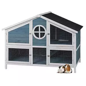 Pets at Home Foxglove Guinea Pig Hutch Blue & White