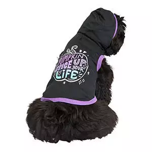 Pets at Home Halloween Pumpkin Spice Up Your Life Dog Hoodie