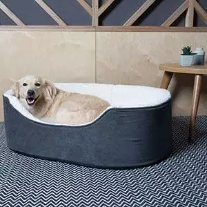 Pets at Home Teddy Dog Oval Bed XX Large