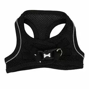 Pets at Home Toy Dog Harness