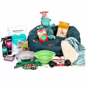 Lords & Labradors Puppy Essentials Pack - Large Breeds