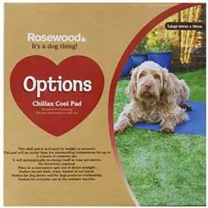 best dog cooling mat 2021