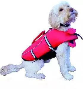Rosewood Dog Life Jacket