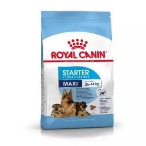 Royal Canin Maxi Starter Mother & Babydog Food