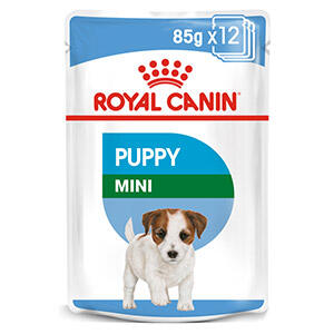 Royal-Canin-Mini-Breed-Puppy-Food-In-Gravy-85g-
