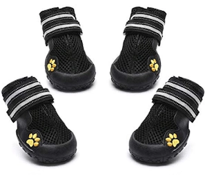 Royalcare Dog Shoes