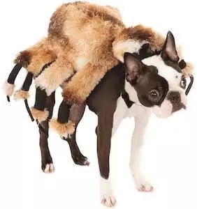 Giant Spider Pet Dog Costume
