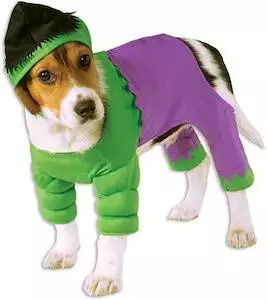 Hulk Dog Fancy Dress