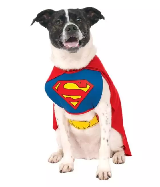 Superman Dog Costume